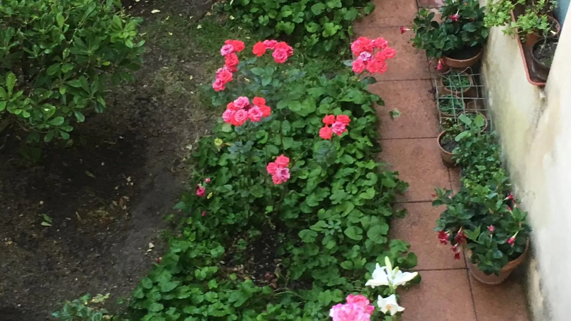 B&B Fleurs Enna 0*,  Italië
